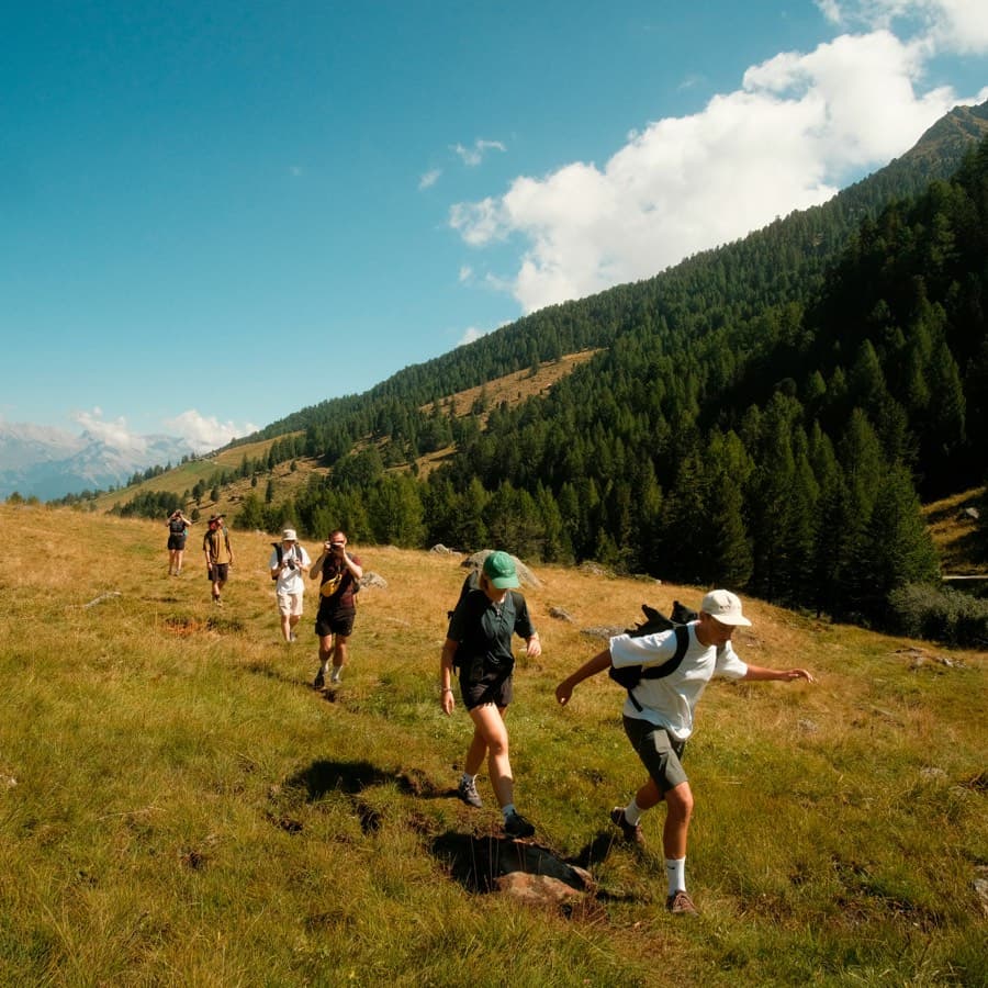 A group hiking an alpine meadow