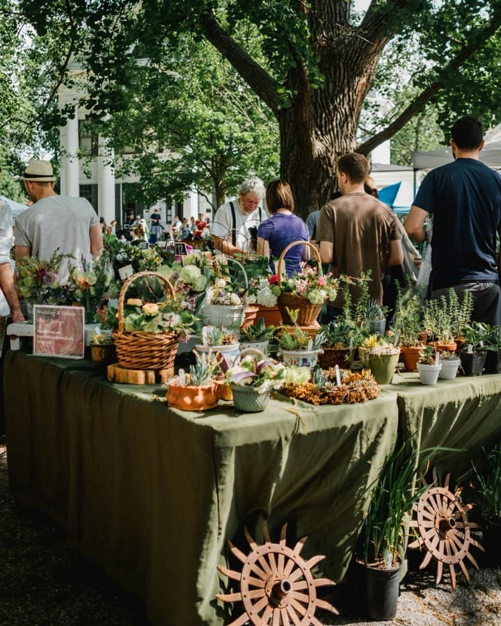 Stalls at a farmers market