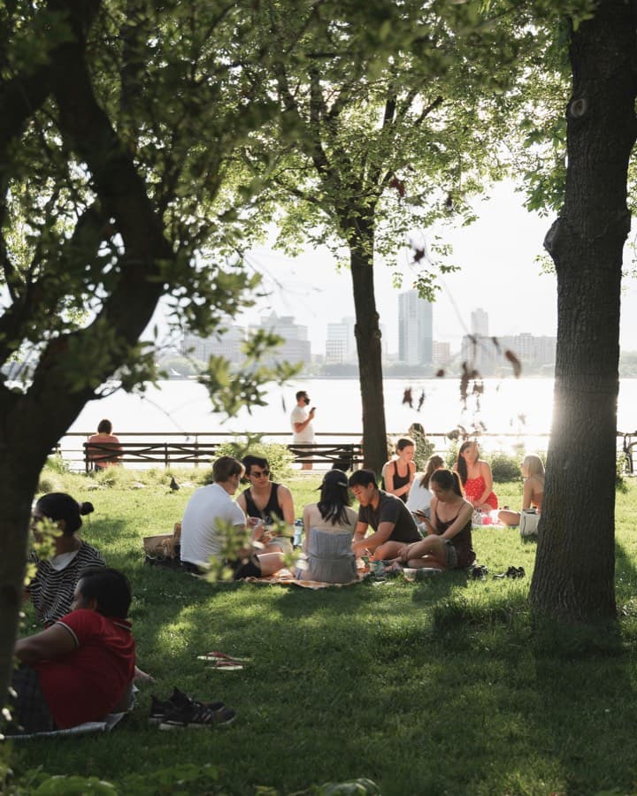 A picnic in the park